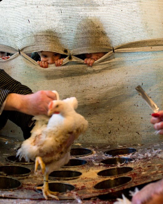 Um dia simples na vida ...foto: Bernat Armangue / Associated Press)
