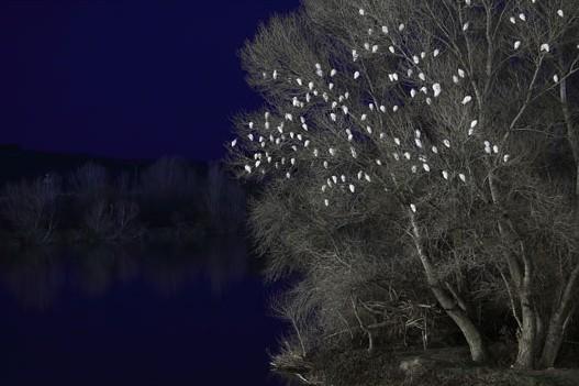 Los paisajes de la Red Natura 2000 V edici?n del concurso de fotograf?a "Sotos de Alfaro"