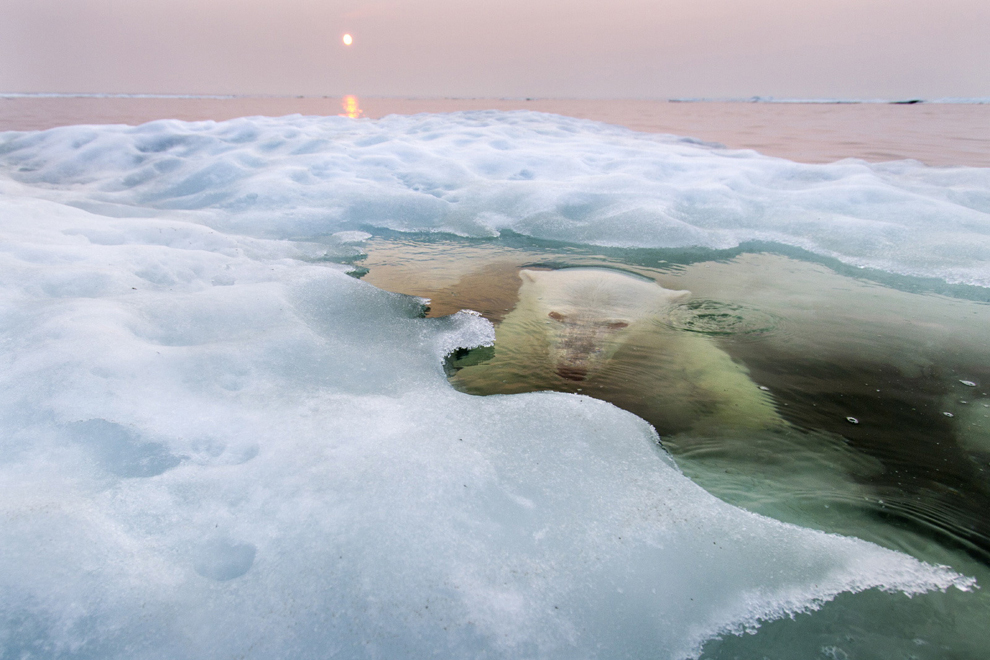 2013 National Geographic Photography Contest Winners.Foto:Paul Souders Photo Contest / National Geographic)