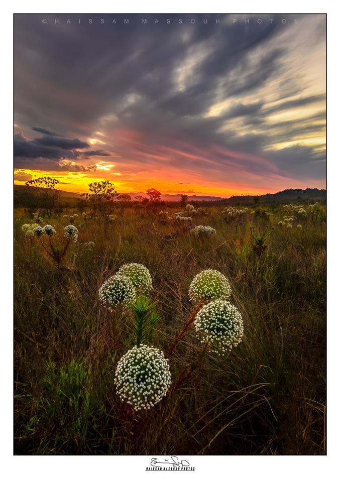 Parque Nacional da Chapada dos Veadeiros passa a ter 240 mil hectares de rea protegida.Foto:Haissam Massouh