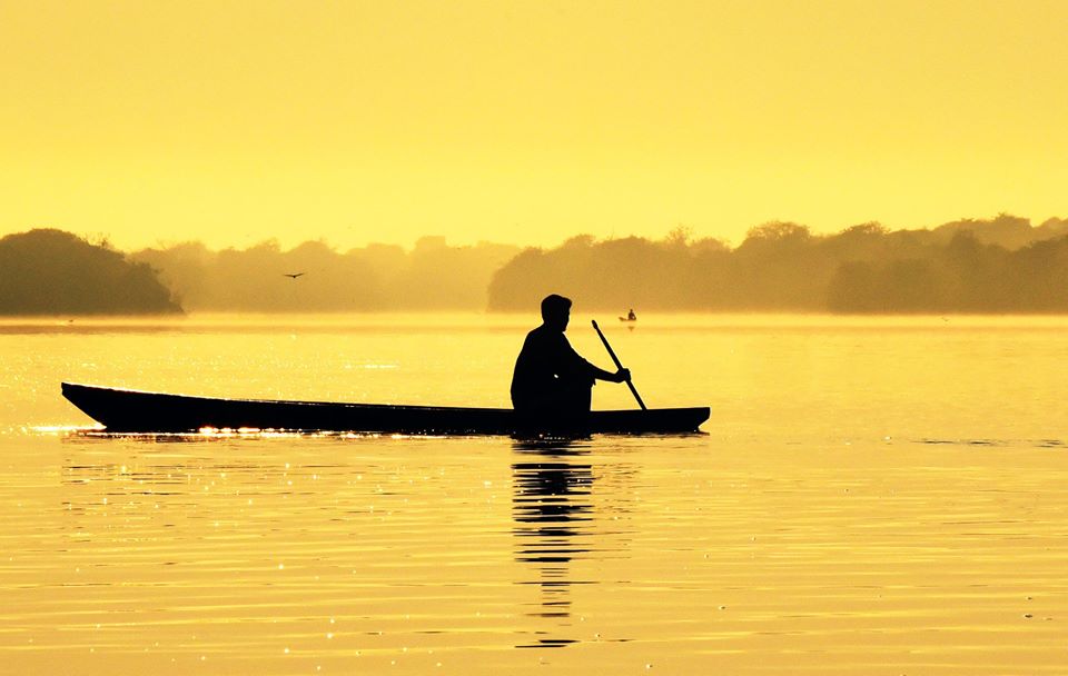 PAZ E SILENCIO NA PERENIDADE DA FLORESTA, RIOS, LAGOS E IGARAPS AMAZNICO.Por Walter Firmo