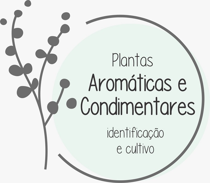Embrapa abre inscrições para curso sobre plantas aromáticas e condimentares