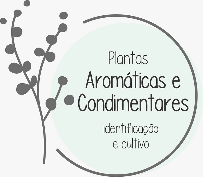 Embrapa abre inscries para curso sobre plantas aromticas e condimentares