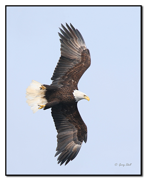 Gerry Sibell - Fotografo de Hibbing, Minnesota, EUA .